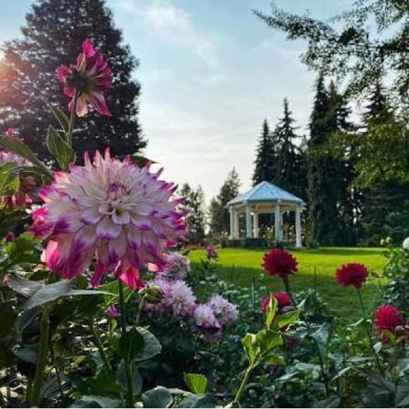 ✨Chateau✨ - Picture 8 of 10